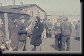 Former political prisoners wearing triangular badges and X markings gather near a barbed wire gate * Former political prisoners wearing triangular badges and X markings gather near a barbed wire gate in the newly liberated Dachau concentration camp. * 632 x 410 * (73KB)